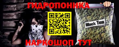 молекула духа Можга