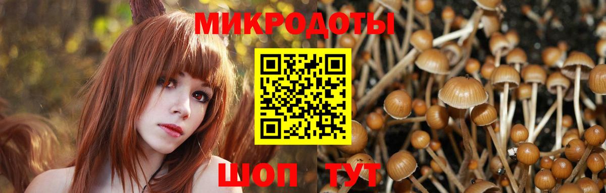 Псилоцибиновые грибы MAGIC MUSHROOMS Чехов